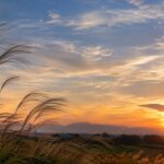 季節の変わり目に体調を崩すのはなぜ？